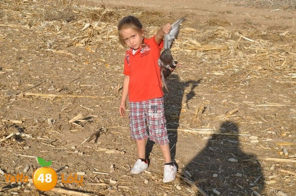 7amam lud monir 908 (5).JPG